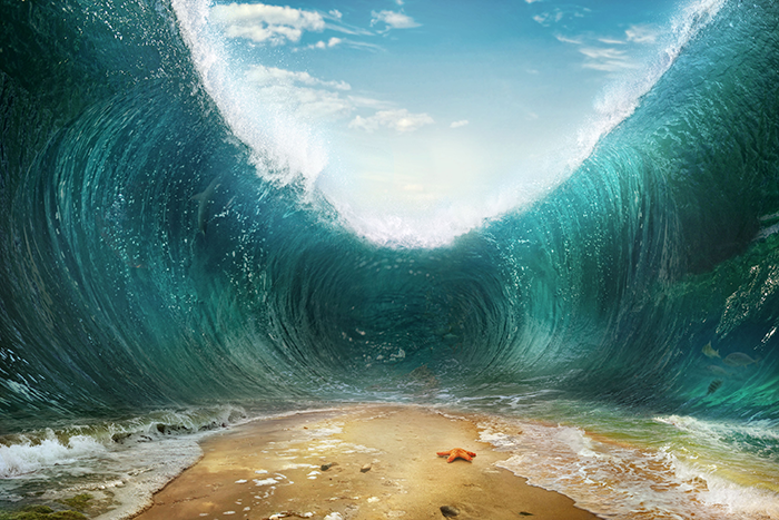 an image of a sea being parted showing the sea floor